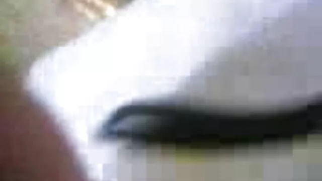 મોન્સ્ટર સેક્સ બીપી વીડીયો ડાઉનલોડ