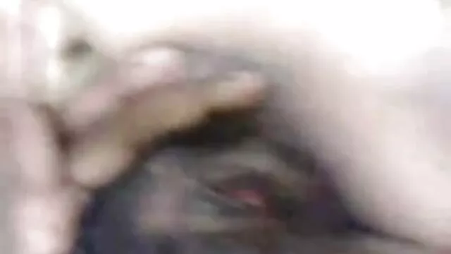 તે બીપી વીડીયા સેકસી પણ સમાવેશ થાય સ્ટેટ્સ