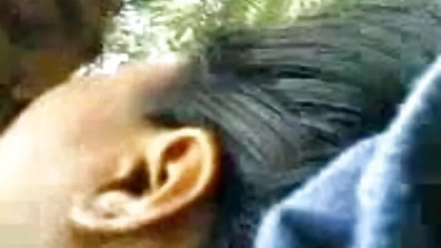 કોલેજ