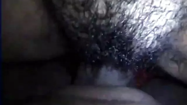 ટેલિફોટો હાઉસ, બીપી વીડીયો એક્સ