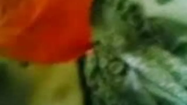 કેસિડી ક્લેઇન fucked બાથરૂમમાં ગુજરાતી સેકસી બીપી વીડીયો