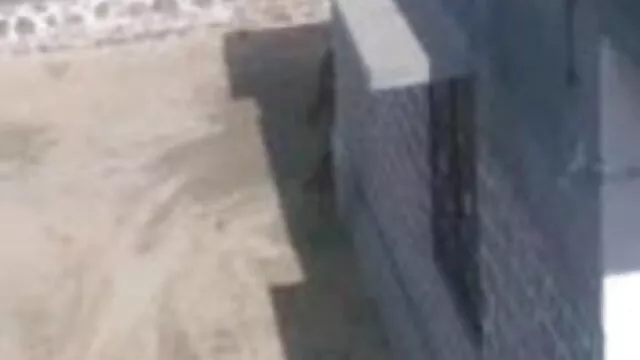 સેક્સ સાથે Ava ટેલર ચશ્મા બીપી વીડીયો દેખાડો